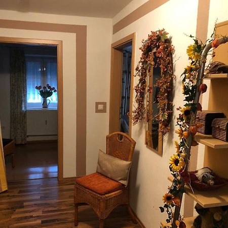 Schoene Ferienwohnung In Bahnhofsnaehe Fuer Urlaub, Studium Oder Arbeit Deggendorf Buitenkant foto