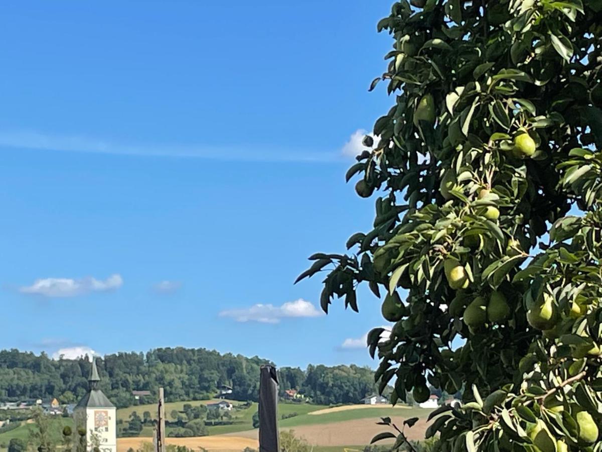 Schoene Ferienwohnung In Bahnhofsnaehe Fuer Urlaub, Studium Oder Arbeit Deggendorf Buitenkant foto