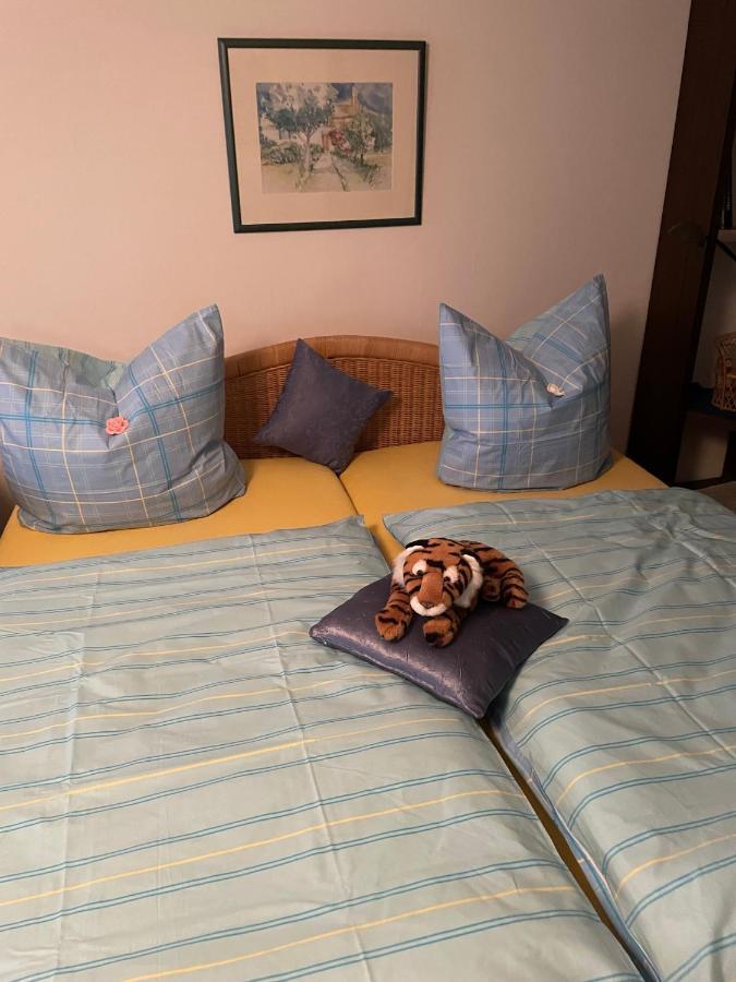 Schoene Ferienwohnung In Bahnhofsnaehe Fuer Urlaub, Studium Oder Arbeit Deggendorf Buitenkant foto